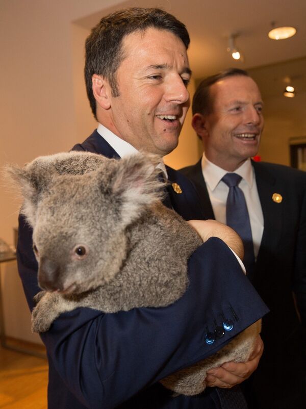 Премьер-министр Италии Маттео Ренци держит на руках коалу на саммите G20 в Австралии