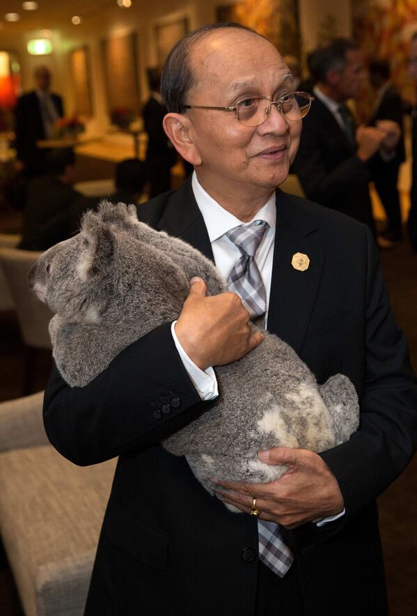 Президент Мьянмы Тейн Сейн держит на руках коалу на саммите G20 в Австралии