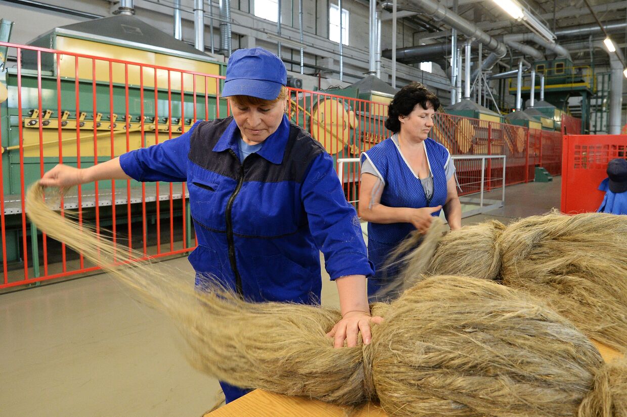 Производство льна в республике Беларусь