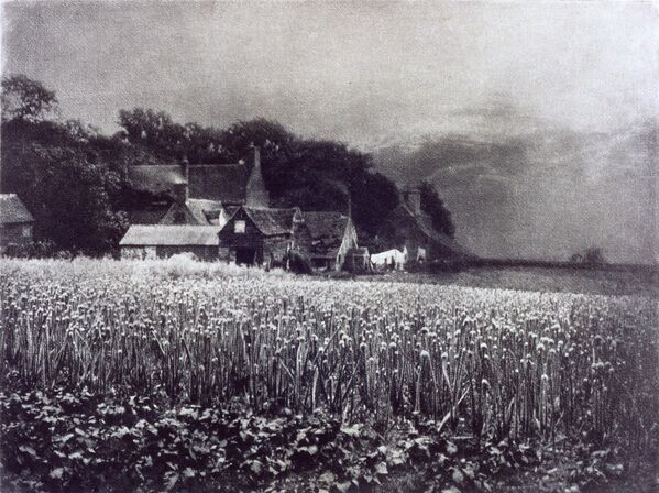 Джордж Дэвидсон «Луковое поле», 1890