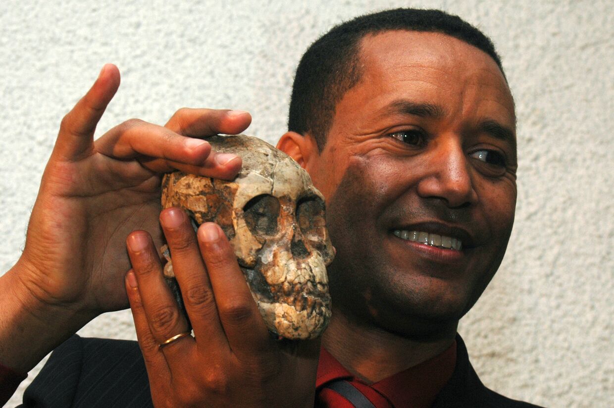 Эфиопский палеонтолог Зересенай Алемсегед держит окаменевший череп Селам