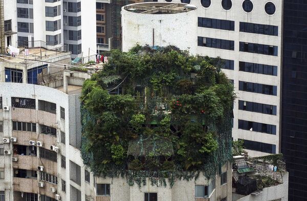 Нелегальная постройка на крыше 19-тиэтажного здания в Гуанчжоу