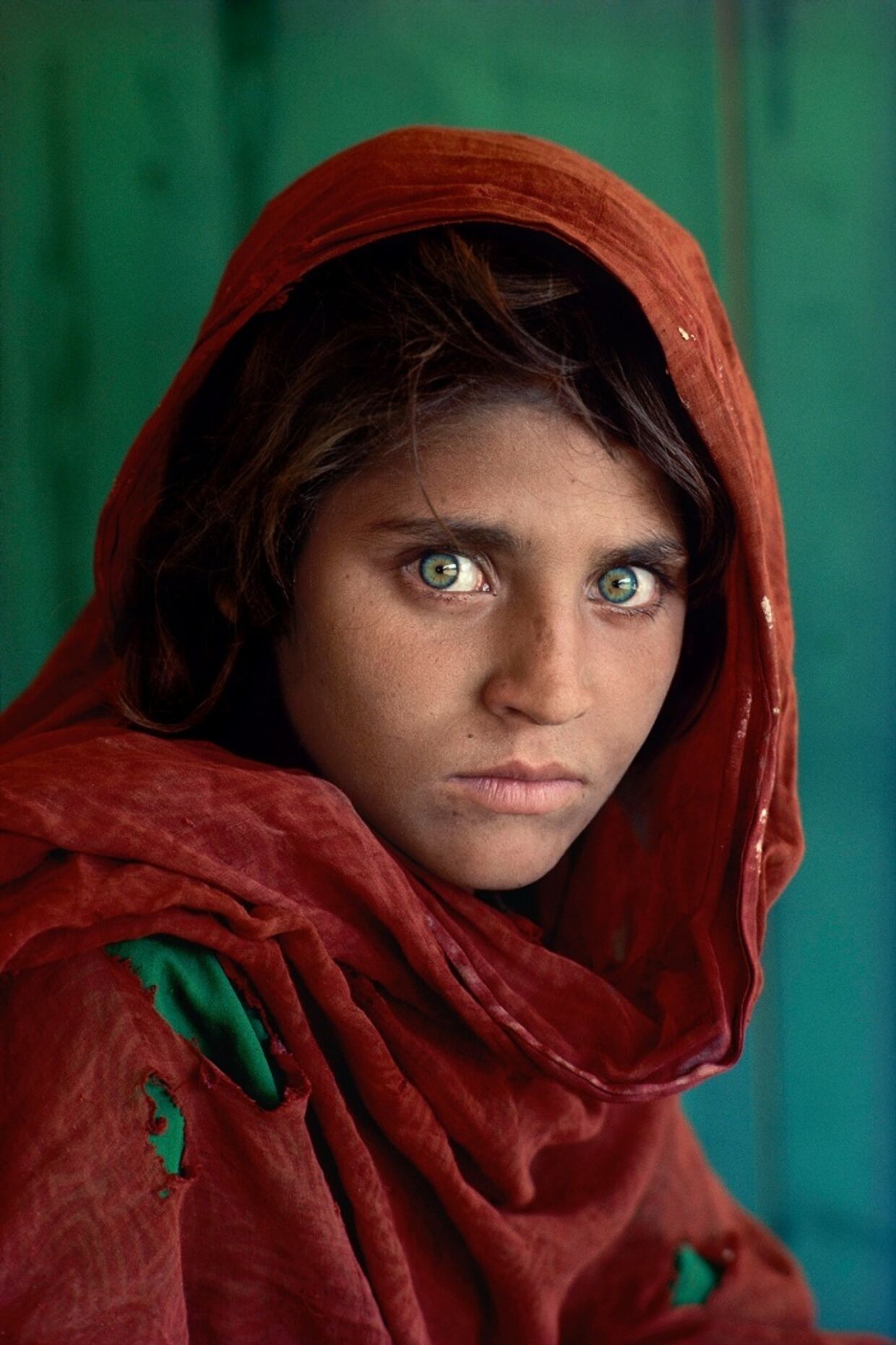 Стив Мак-Карри «Шарбат Гула, афганская девочка в лагере для беженцев Назир-Багх под Пешаваром, Пакистан», 1984 год