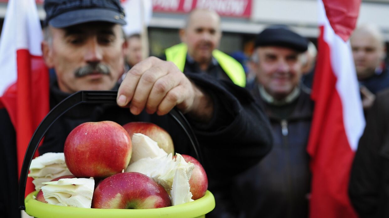 Акция протеста фермеров и садоводов Польши в Варшаве