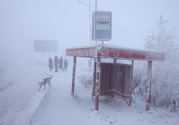 Замерзшая остановка в Якутске