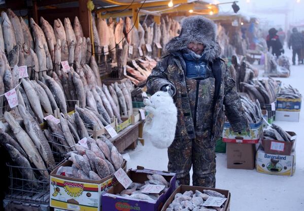 Арктический беляк на рынке в Якутске