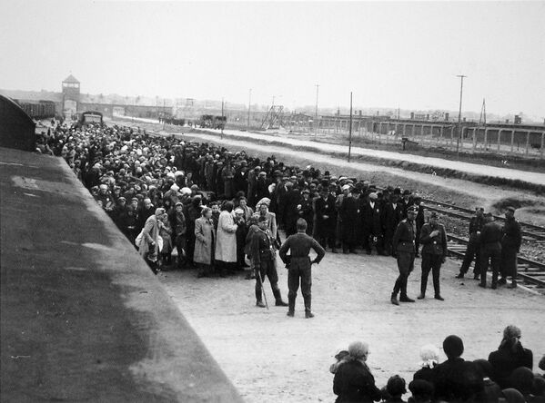 Прибытие новых заключенных в Освенцим