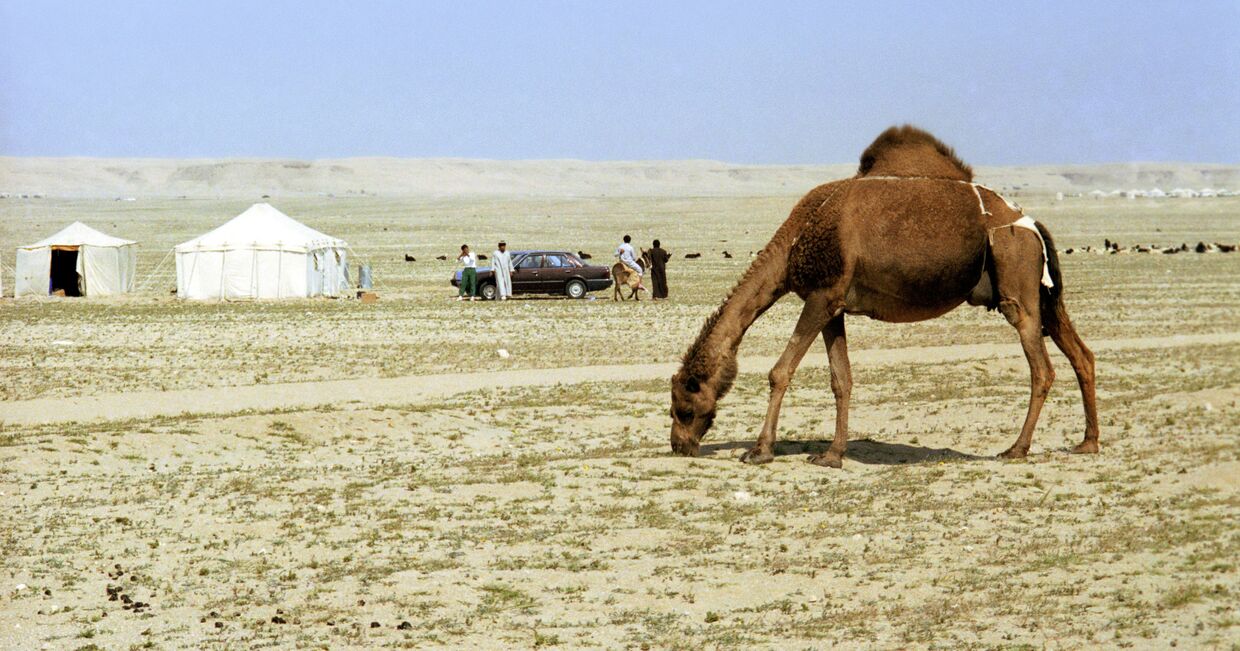 Кочевье кувейтских бедуинов