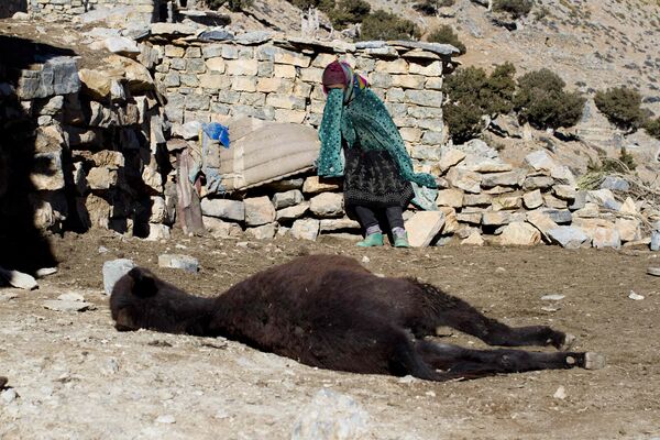 Женщина плачет над умершим осликом, деревня Айт Сгхир в предгорьях Высокого Атласа