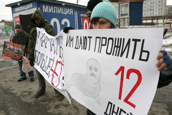 Акция в Новосибирске против убийства детенышей гренландского тюленя