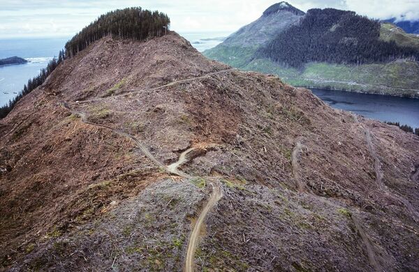 Вырубка лесов на острове Ванкувер