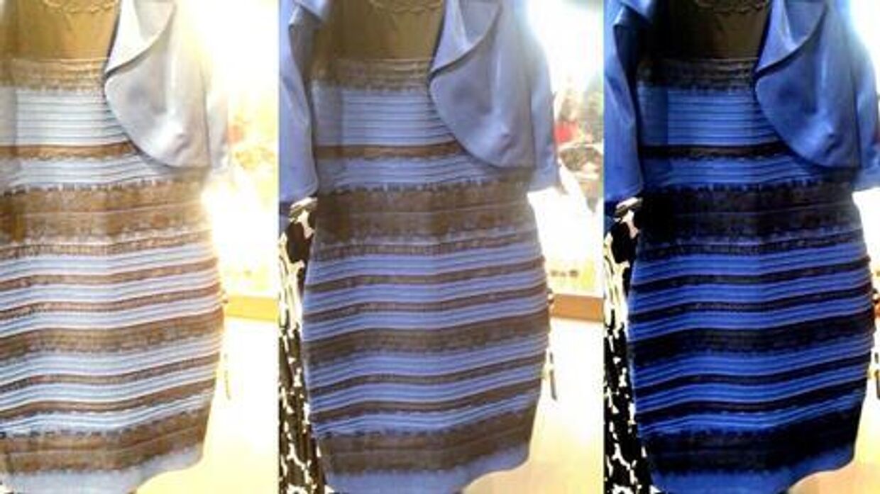 Платье синее или белое?