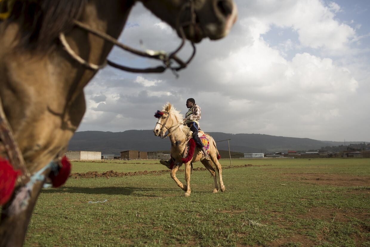 Мальчики на лошадях в Аддис-Абебе