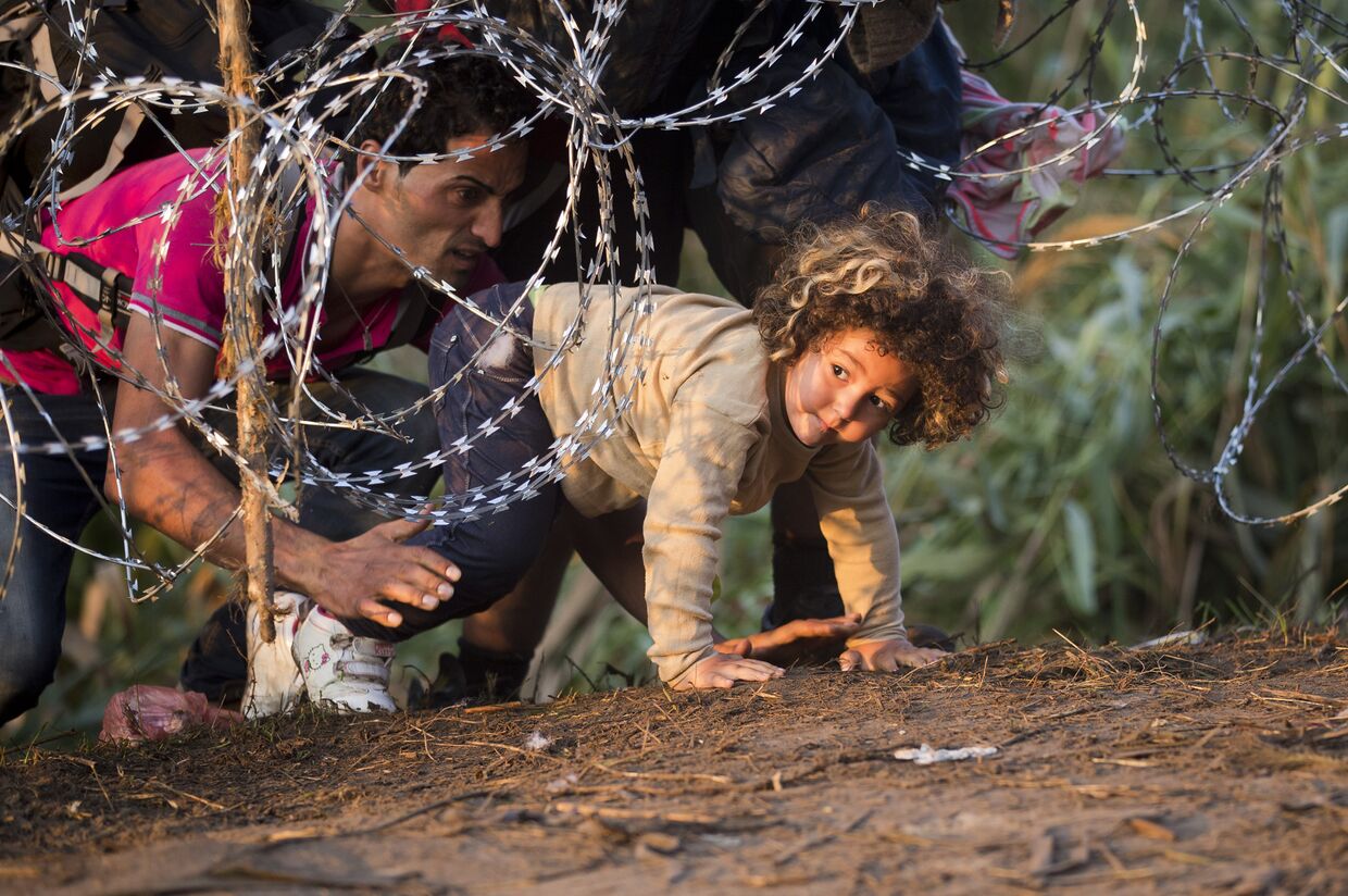 Мигранты переходят границу Сербии с Венгрией