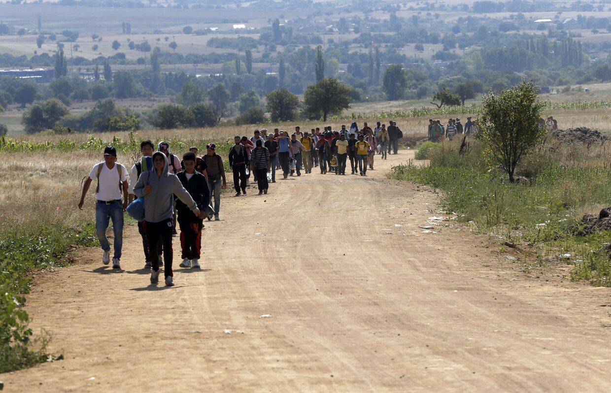 Мигранты идут по территории Сербии после пересечения границы