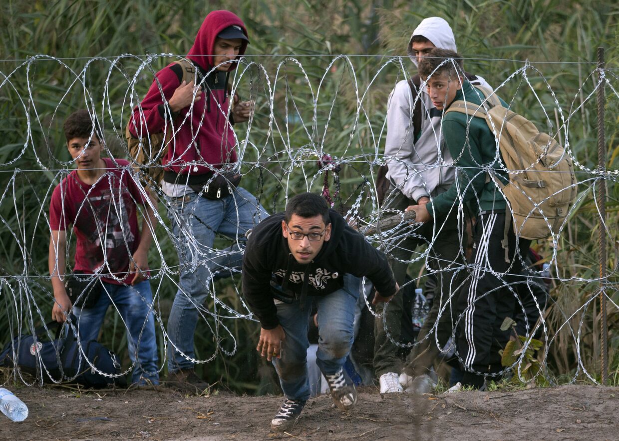 Мигранты пролезают под забором из колючей проволоки и попадают на территорию Венгрии
