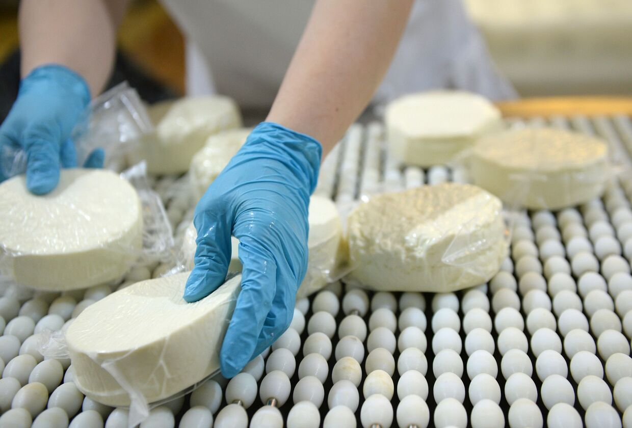 Производство сыра на предприятии Молочная благодать в Свердловской области