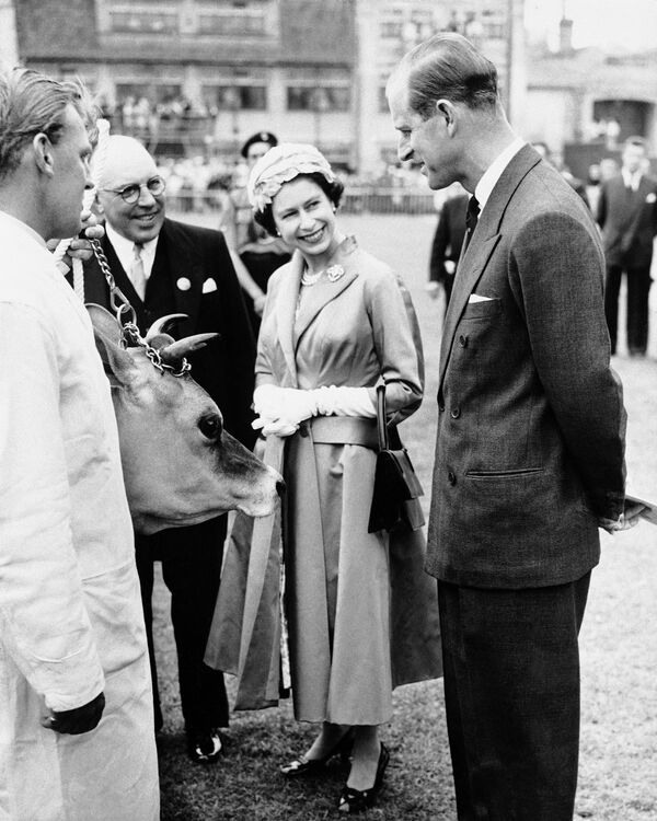 Королеве Елизавете II дарят корову породы джерси, 1957 год