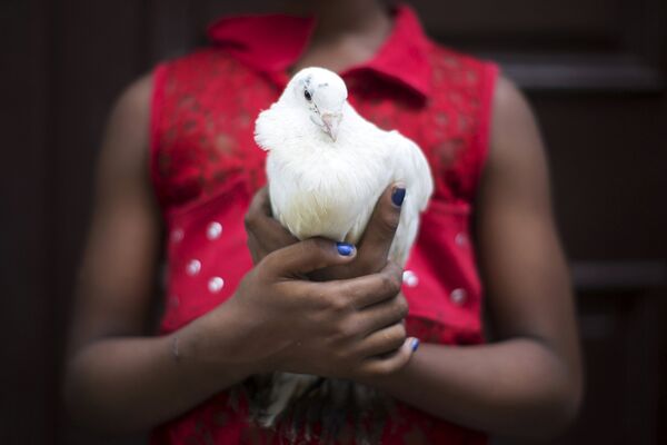 Хильян Кабалльеро продает голубя для использования в ритуалах сантерии