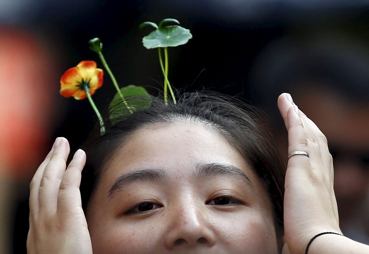 Сила цветов: новая мода на улицах Пекина