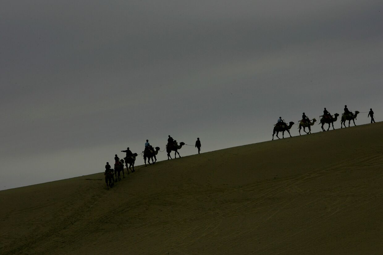 Верблюды в пустыне Гоби рядом с городом Дуньхуан
