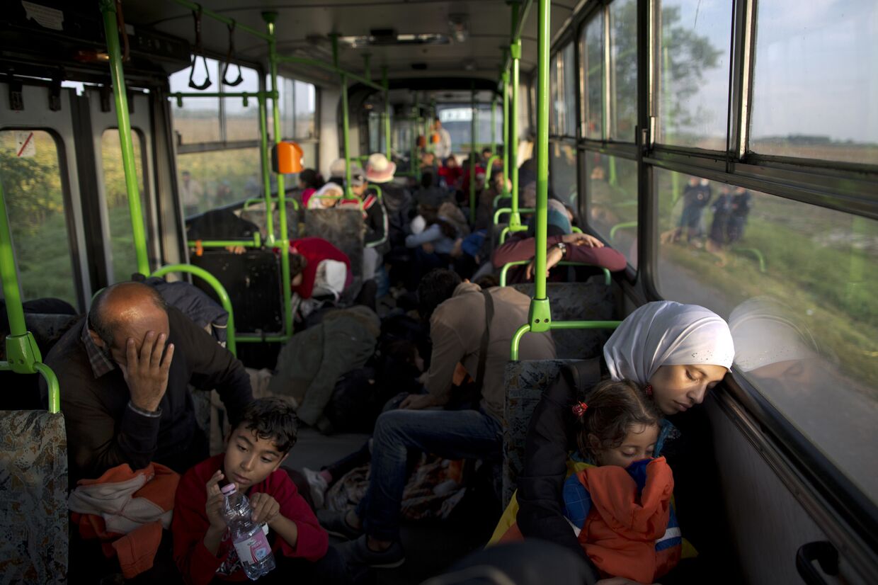 Сирийские беженцы в Венгрии