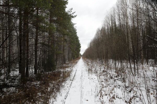 Железнодорожные пути рядом с деревней Санкино Свердловскй области