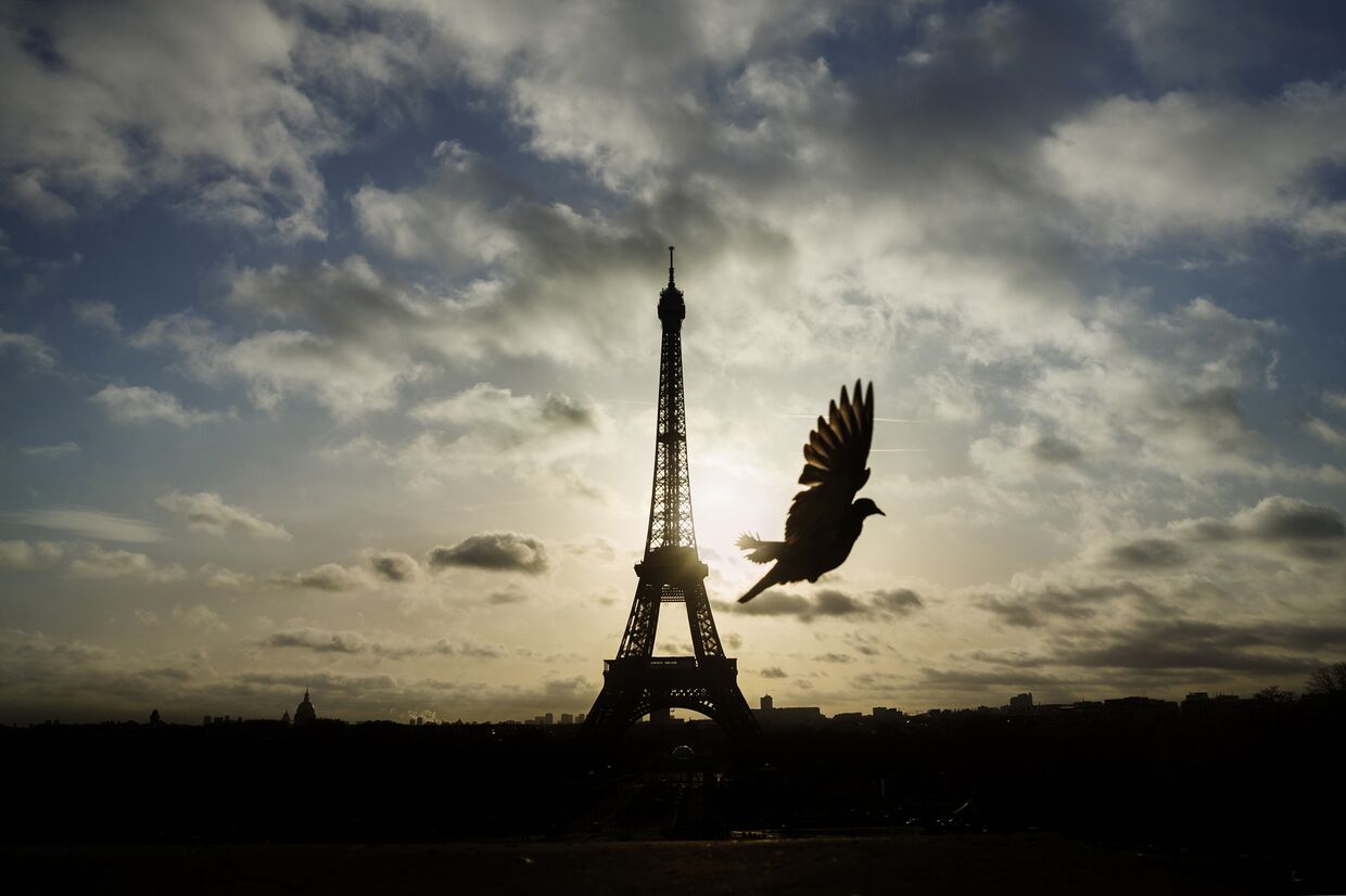 Эйфелева башня в дни национального траура в Париже