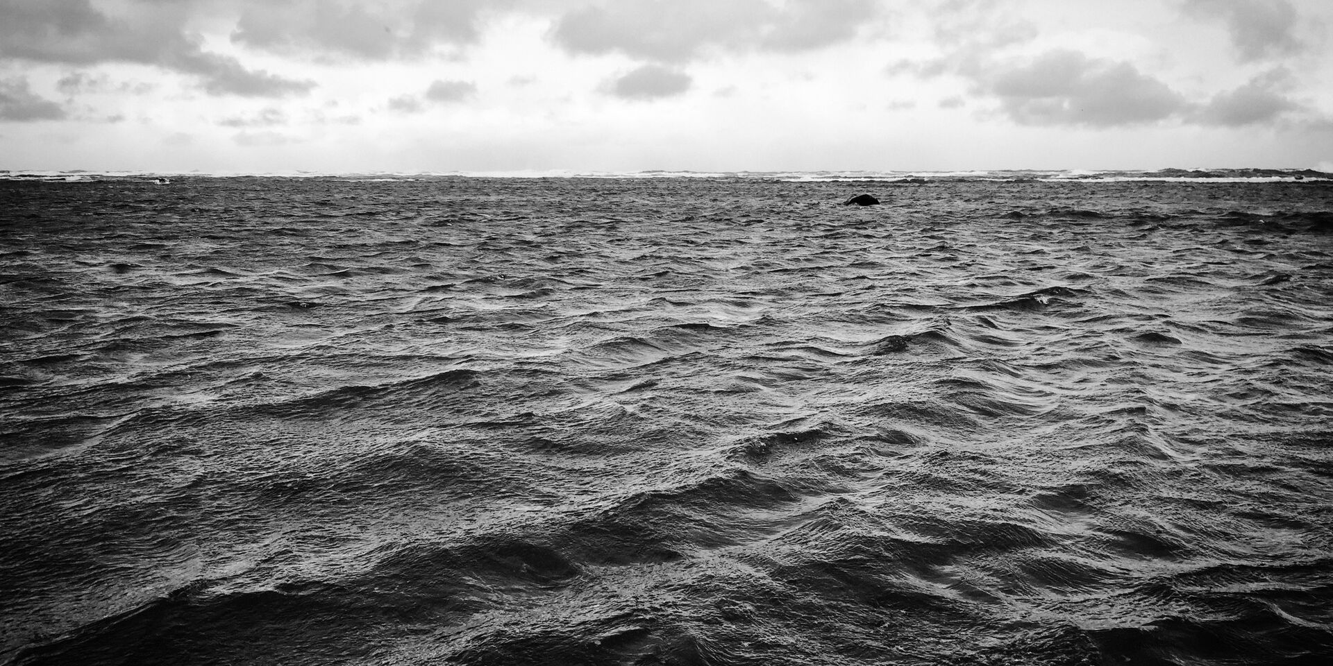 Море у берегов Хоккайдо - ИноСМИ, 1920, 13.11.2021