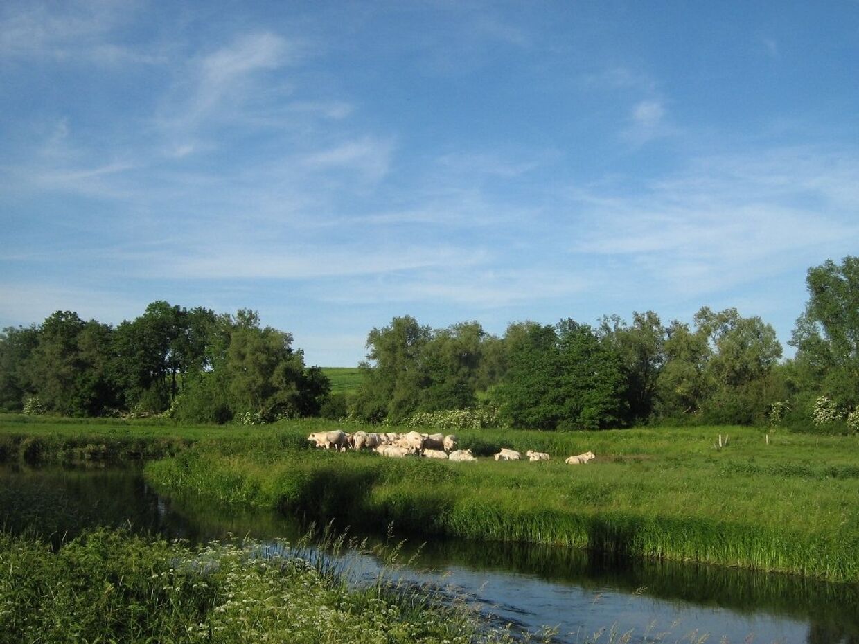 Река Толлензе возле деревни Буров в округе «Мекленбург Озерный край»