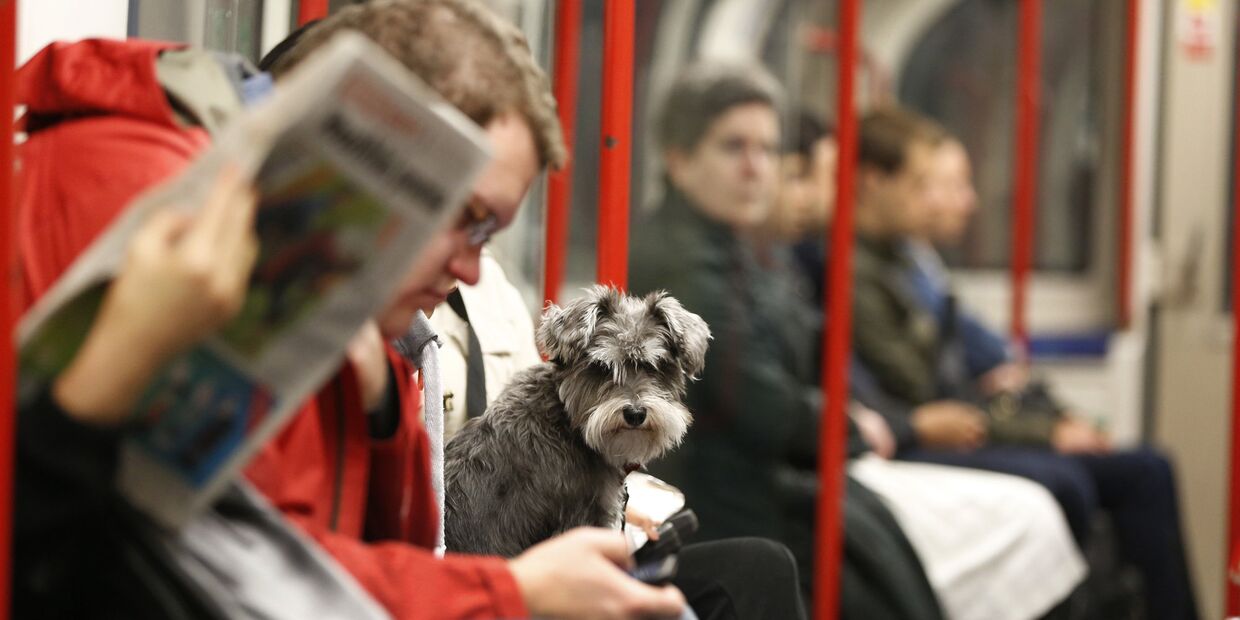 В вагоне лондонского метро