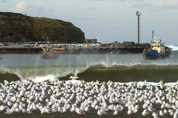Остров Итуруп и залив Оля