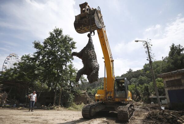 Экскаватор достает тело медведя, погибшего во время наводнения в тбилисском зоопарке
