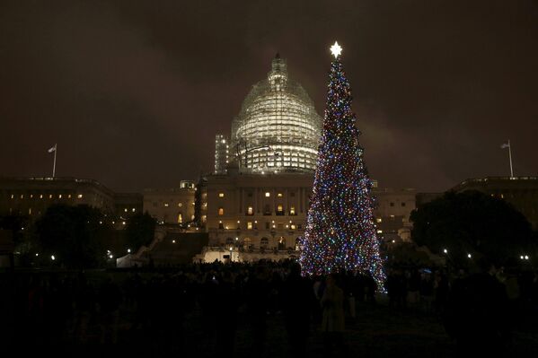 Рождественская елка на Капитолийском холме в Вашингтоне