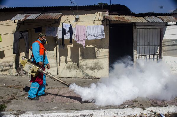 Сотрудник городских служб распыляет инсектициды для борьбы с комарами вида Аedes Аegypti, переносящих вирус Зика в Сальвадоре