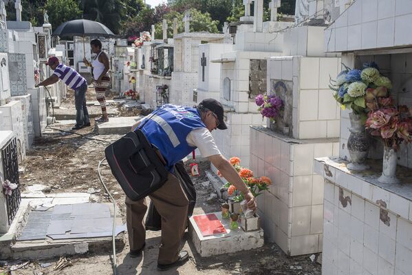 Медицинский работник опустошает вазы на кладбище в рамках операции по уничтожению комаров вида Аedes Аegypti, переносящих вирус Зика