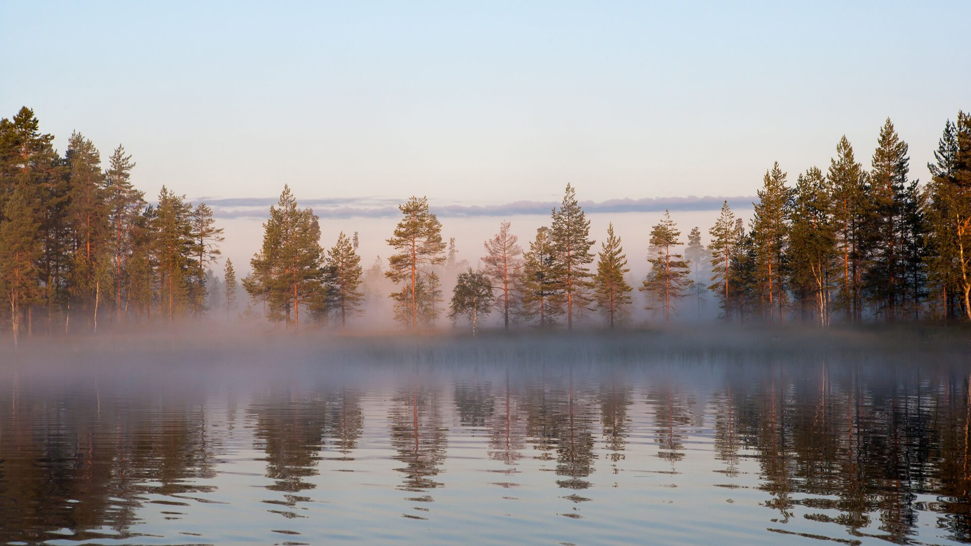 Туманное утро на лесном озере в Республике Карелия - ИноСМИ, 1920, 17.10.2018