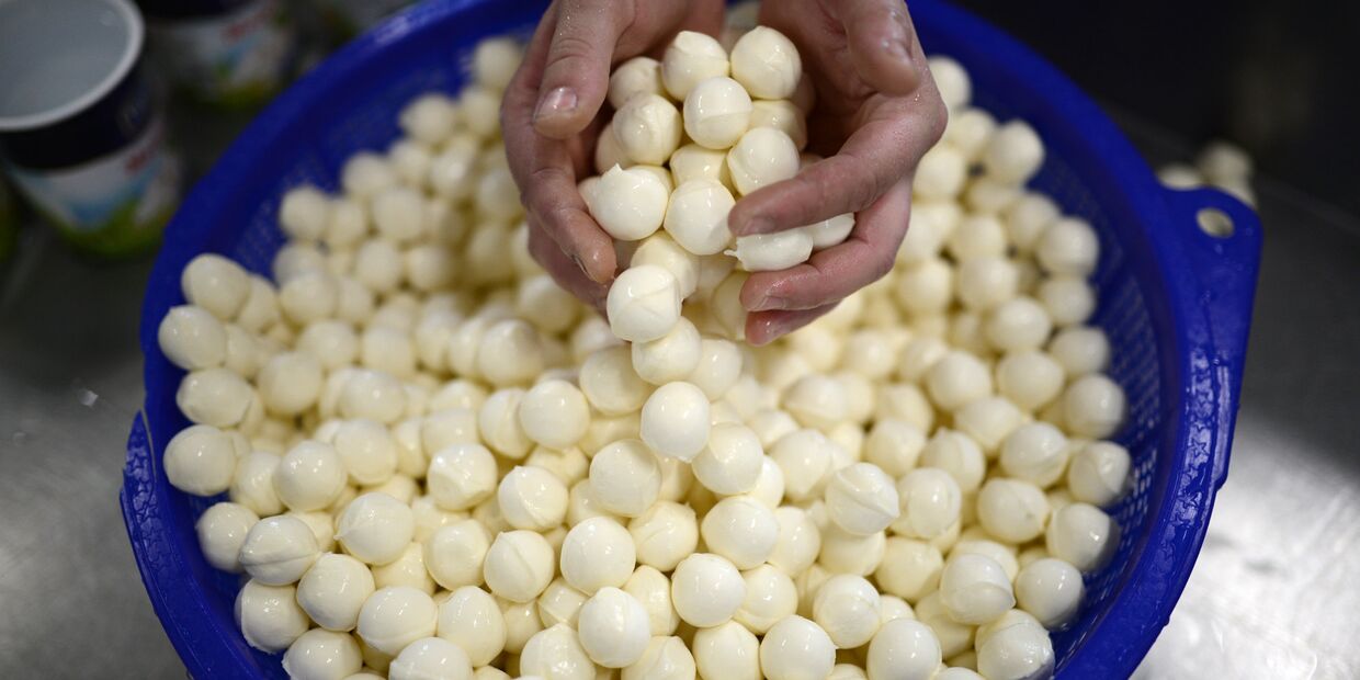 Производство сыра моцарелла на Фабрике Фаворит в Новосибирской области
