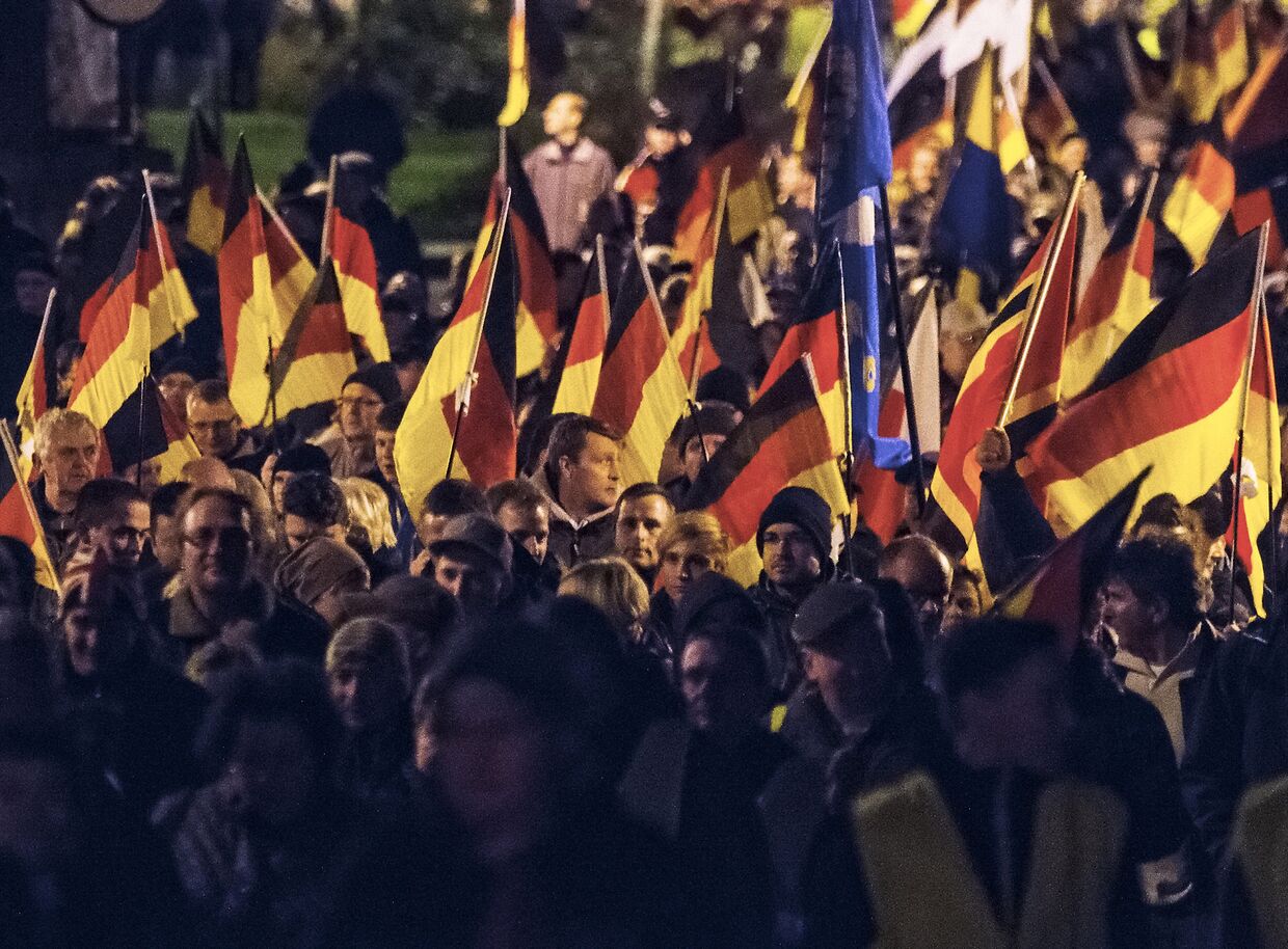 Митинг членов партии Альтернатива для Германии
