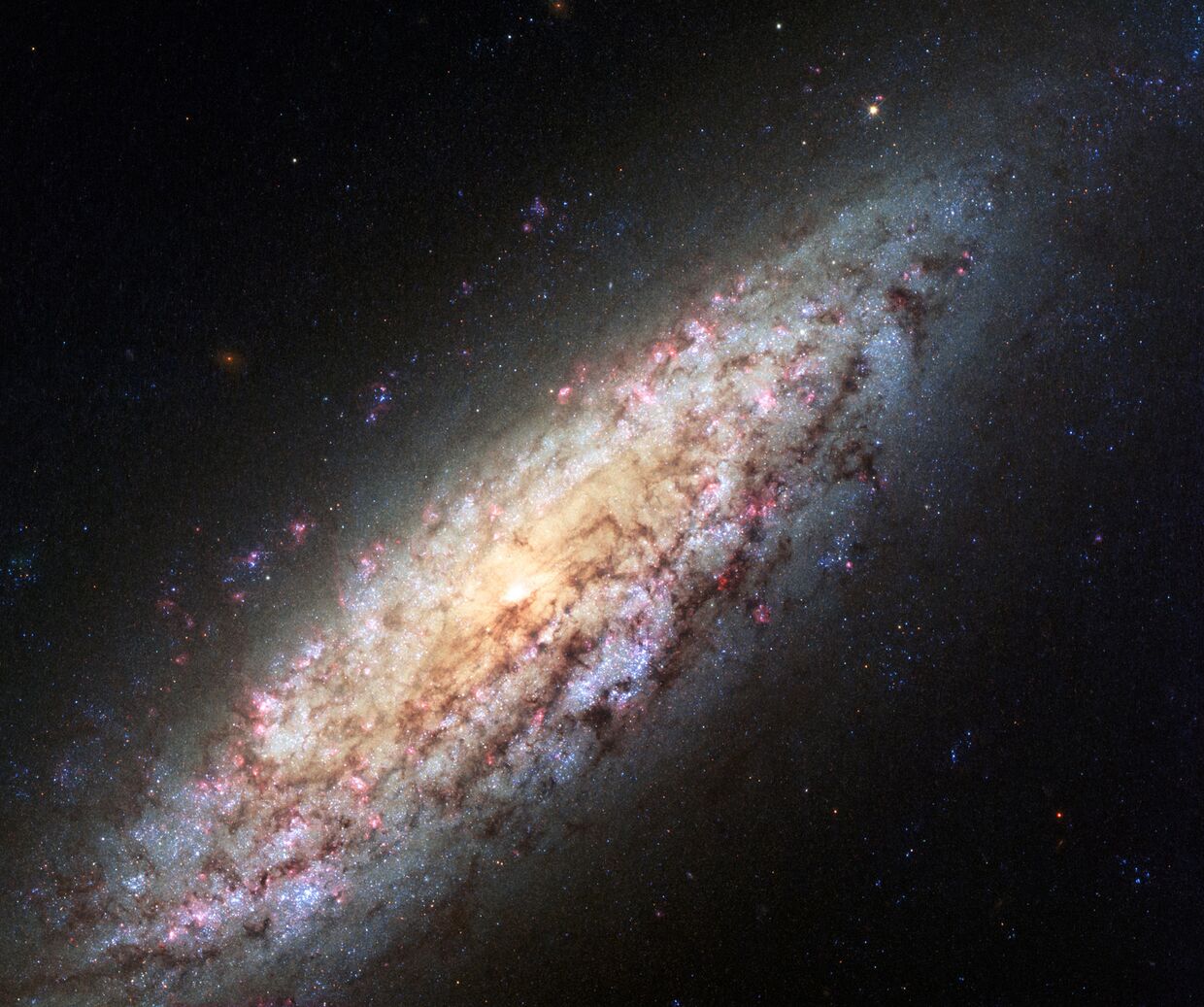 Спиральная галактика NGC 6503