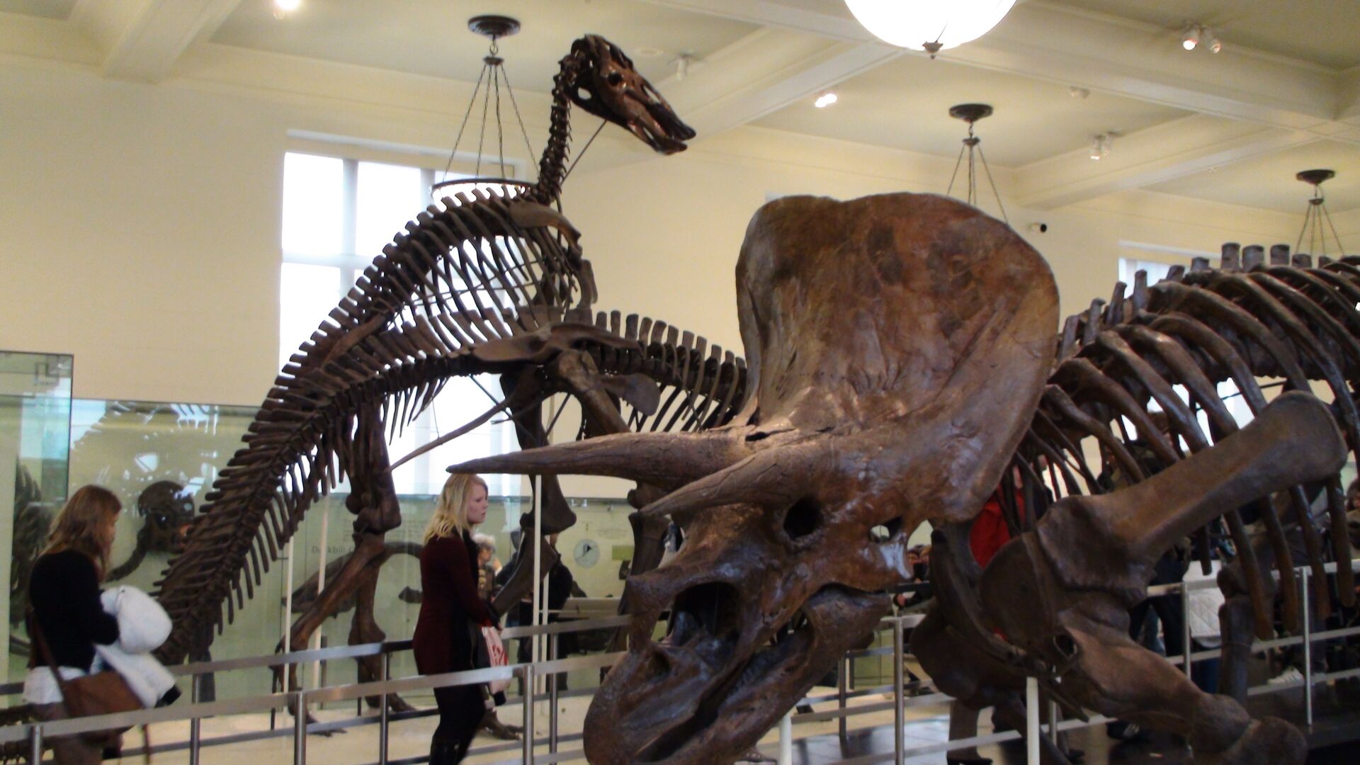 Выставка огромных динозавров в Нью-Йорке - ИноСМИ, 1920, 09.04.2024