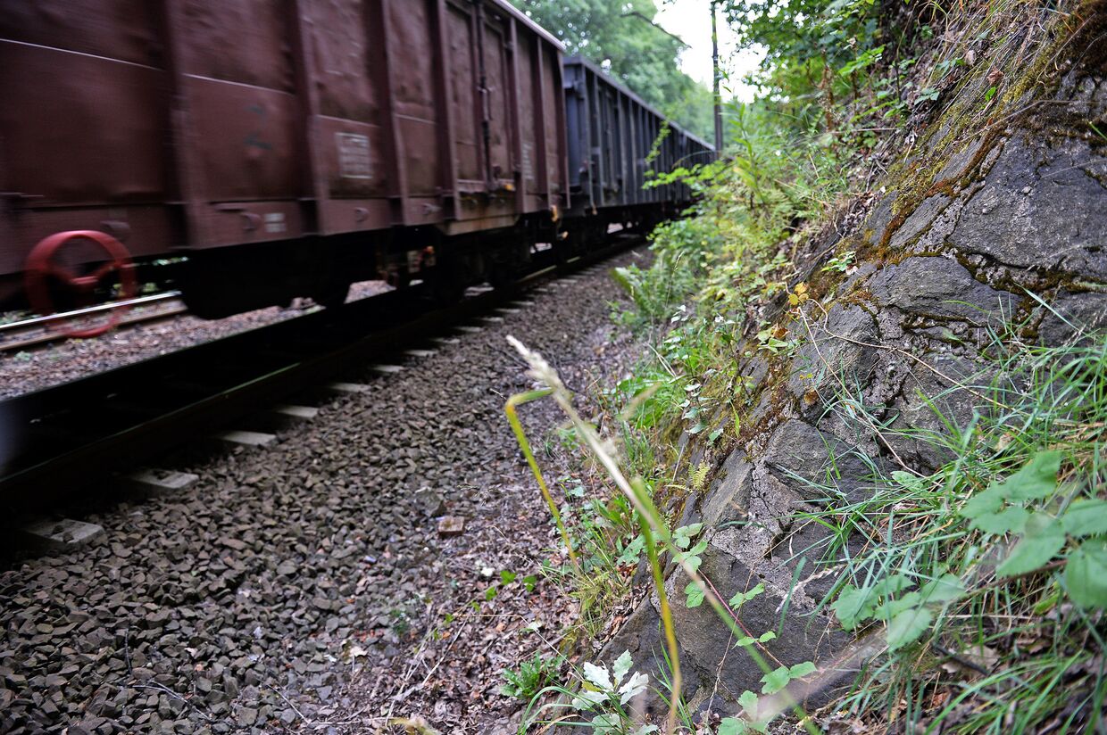 Поезд едет по территории, где предположительно может быть спрятан «золотой поезд нацистов»
