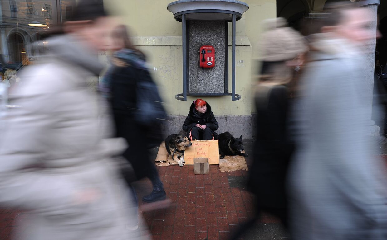 Девушка с собакой просит милостыню на улице Санкт-Петербурга