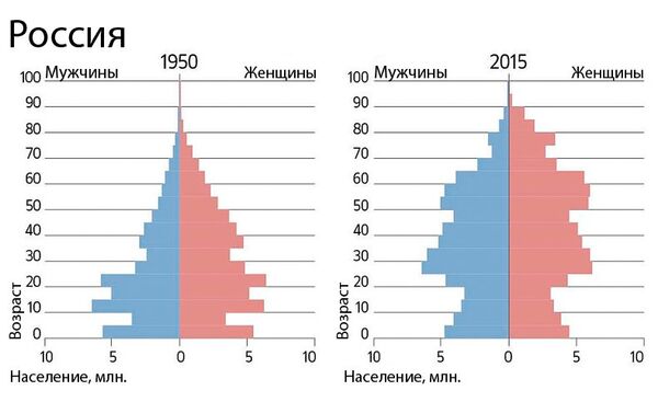 Диаграмма половозрастная пирамида