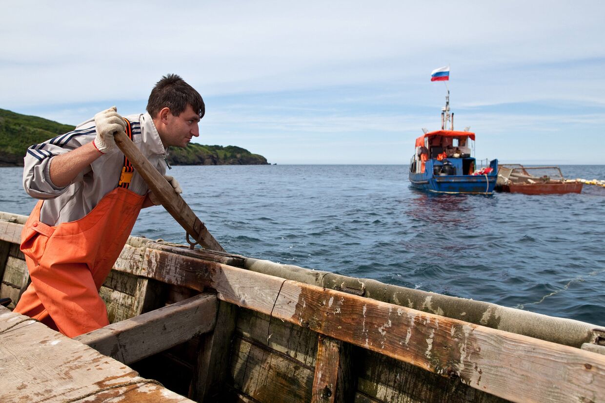 Рыбный промысел на острове Итуруп