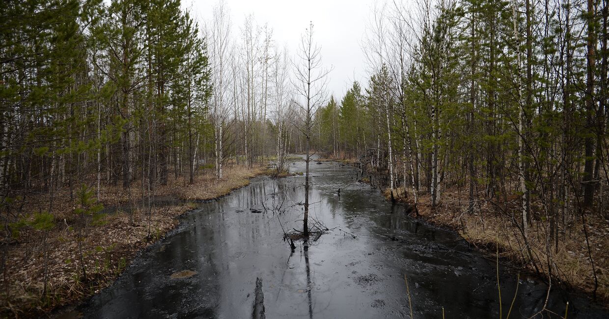Разливы нефти на Мамонтовском месторождении в Ханты-Мансийском округе
