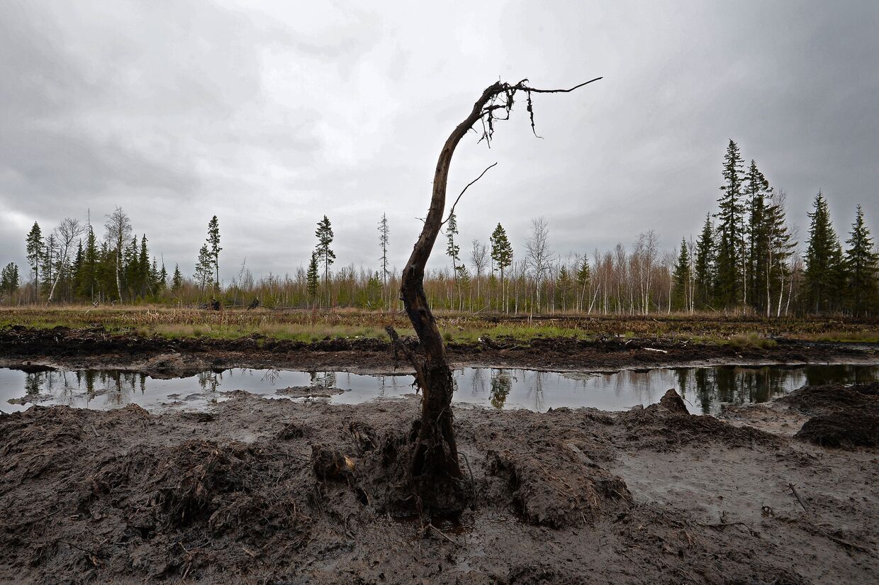 Разливы нефти на Мамонтовском месторождении в Ханты-Мансийском округе