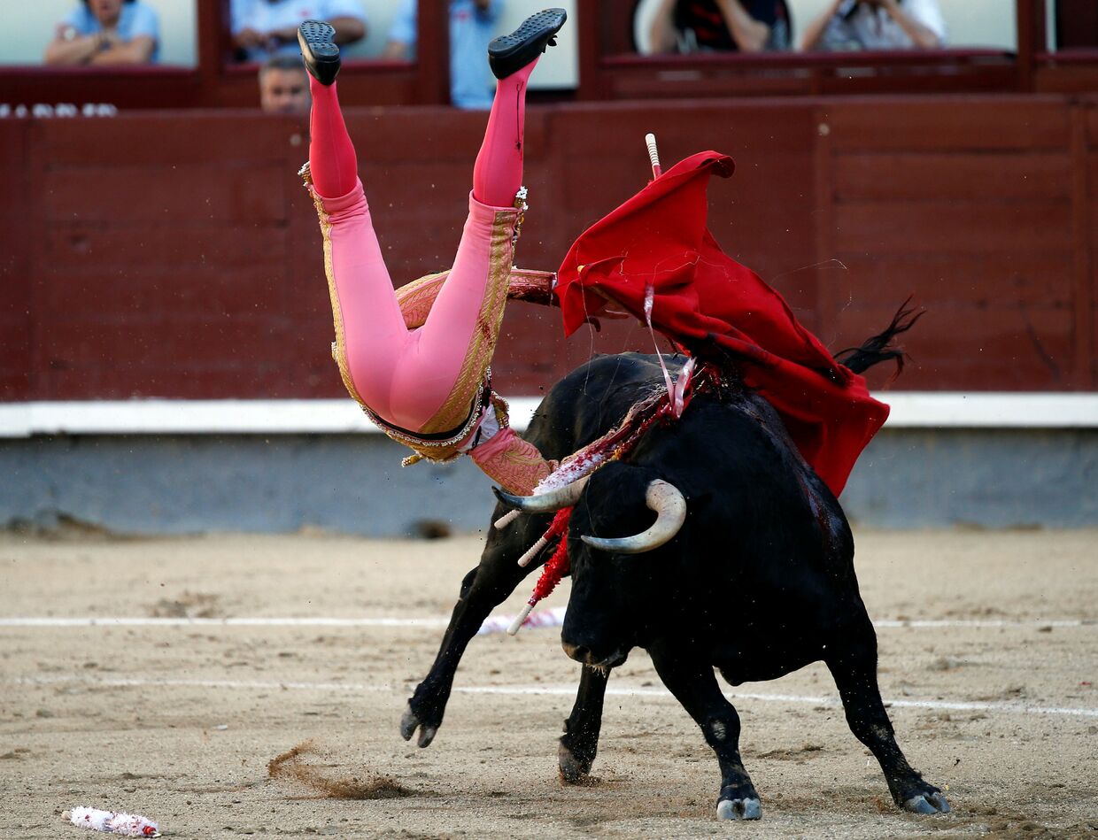 Испанский матадор во время корриды на арене Лас-Вентас в Мадриде