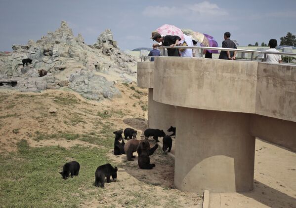 Один день в северокорейском зоопарке
