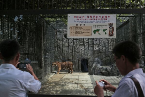 Один день в северокорейском зоопарке